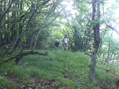 Mont Céty 1428 m - Bauges