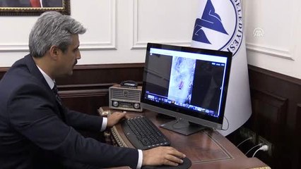 AA'nın "Yılın Fotoğrafları" oylaması