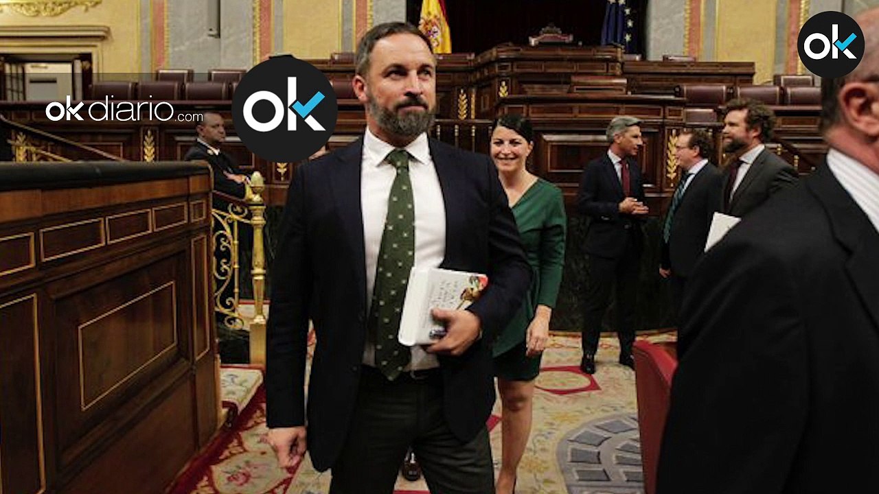 Abascal denuncia que el PSOE «blanquea» los «chanchullos» de Podemos desvelados por OKDIARIO