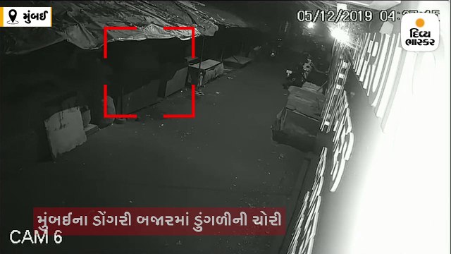 લો, હવે ડુંગળી પણ ચોરાવવા લાગી, ચોરોએ ત્રાટકીને 168 કિલો ડુંગળીની ચોરી કરી