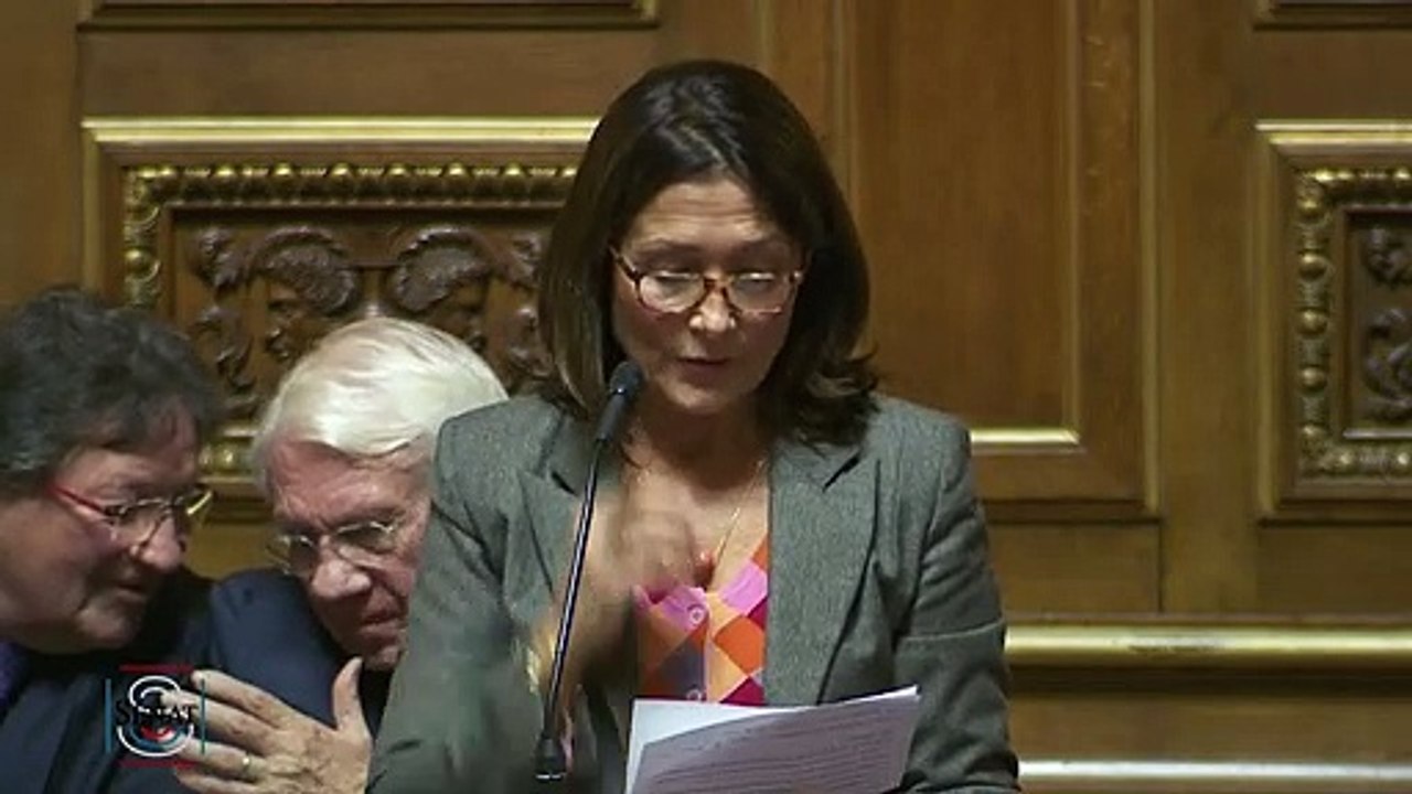 QAG - Anne CHAIN-LARCHÉ "Ne pensez-vous pas qu'il est temps de prévoir le droit à un service garanti aux heures de pointe conciliant droit de grève et droit d'aller travailler ?"