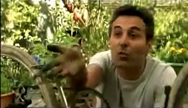 Crustacés et coquillages