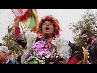 Grass is Greener (Part 1)