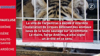 Le Zapping de l'Info du 11 décembre !