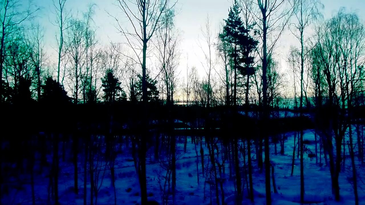 Nov 29 2019 DL2