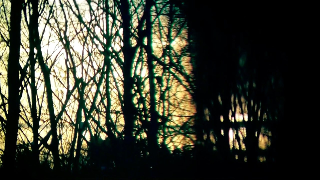 Nov 29 2019 DL4