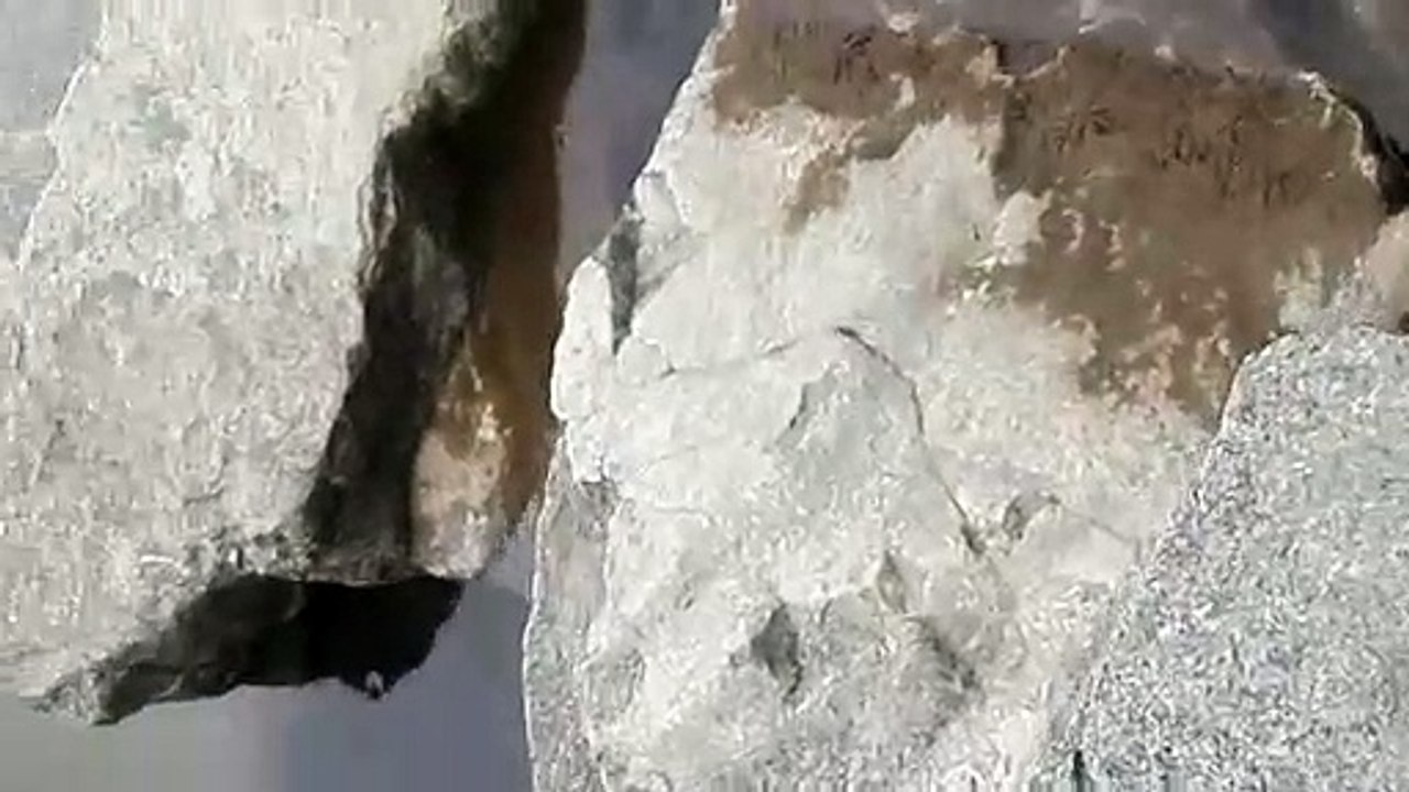 Peces muertos y contaminación en el Besòs por los vertidos tras el incendio en la planta química