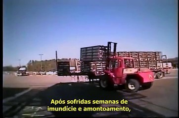 Conheça Sua Carne (Meet Your Meat - Portuguese Subtitles)