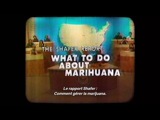 Grass is Greener (Part 3)