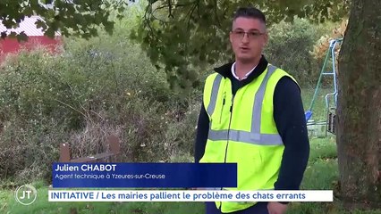 INITIATIVE Les mairies pallient le problème des chats errants