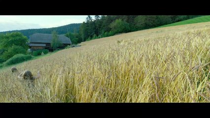 VIDA OCULTA - Tráiler Español [HD]