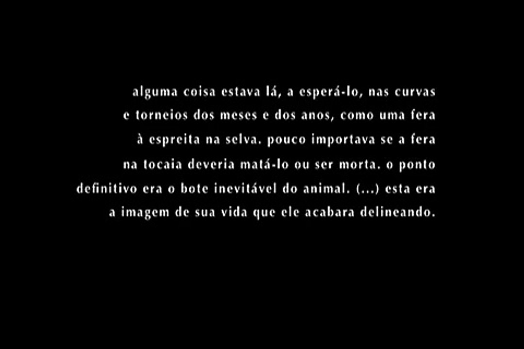 Feito Pedra