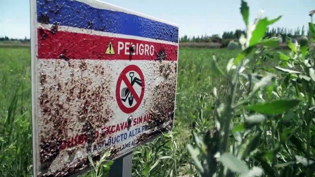 Vaca Muerta, la riesgosa apuesta al fracking en Argentina