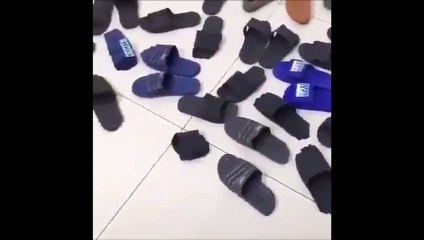 Mais qui a bien pu croquer toutes ces tongues...