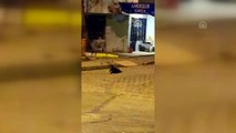 Silivri'de silahla vurulan köpek felç oldu