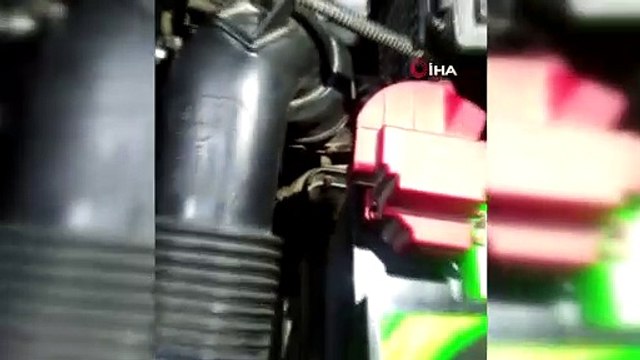 Otomobil motoruna giren yavru kedi kurtarıldı