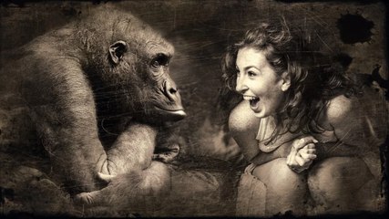 ¿Es verdad eso de que la música amansa a las fieras?