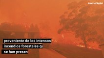 Sydney cubierta de humo a causa de los incendios forestales en Australia