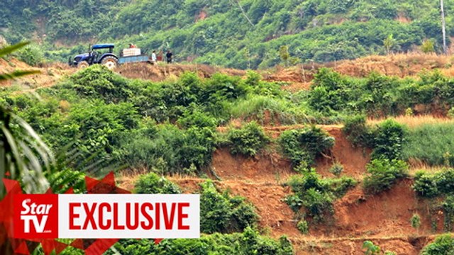 Villagers want Kedah durian plantation project scrapped