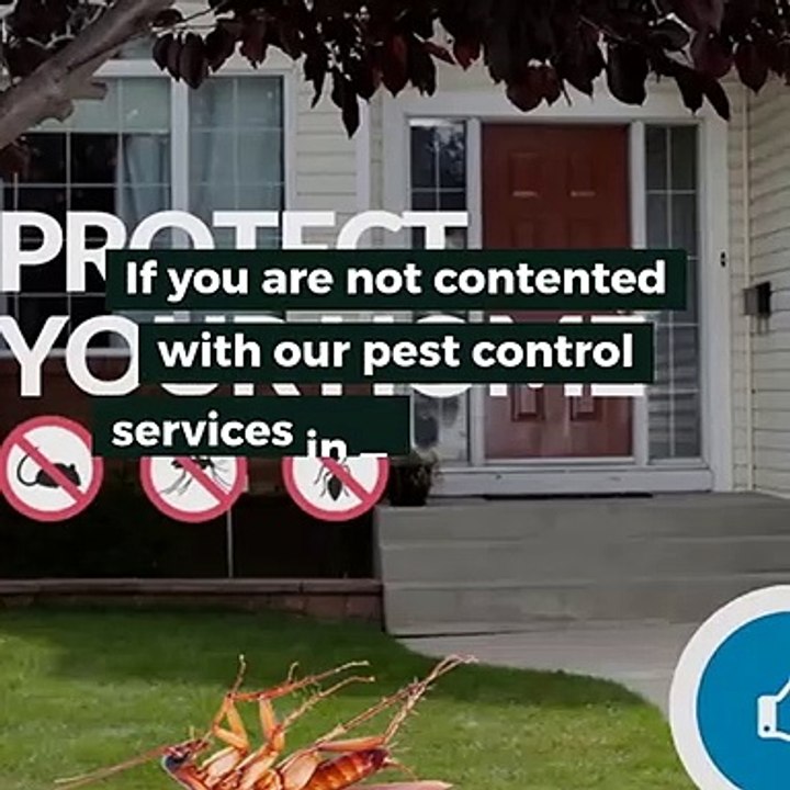 Pest R Gone - Pest Control Services in Toronto