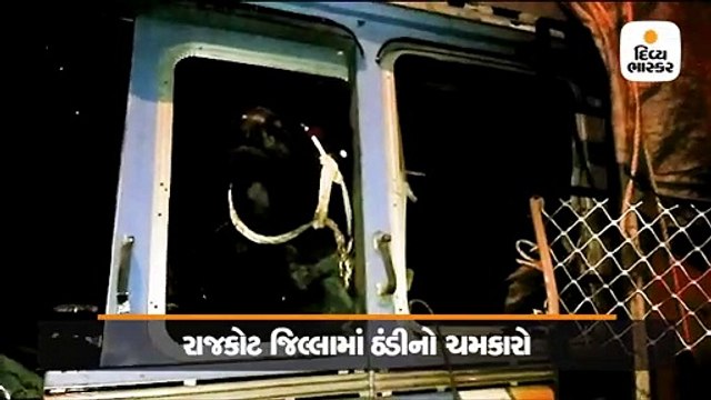 સુરતમાં ઉભેલા ટેન્કરમાં ભેંસ ભરેલી ટ્રક ઘૂસી, ત્રણ વ્યક્તિ અને 7 પશુઓના મોત