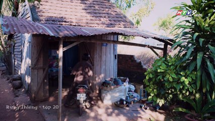 Rừng thiêng - tập 20