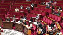 1ère séance : Agir contre les violences au sein de la famille ; Deux accords internationaux ; Lutte contre le gaspillage et économie circulaire (suite)  - Mercredi 11 décembre 2019