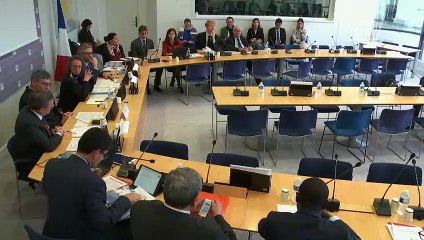 Commission des affaires européennes : Auditions et présentations de rapport divers - Mercredi 11 décembre 2019