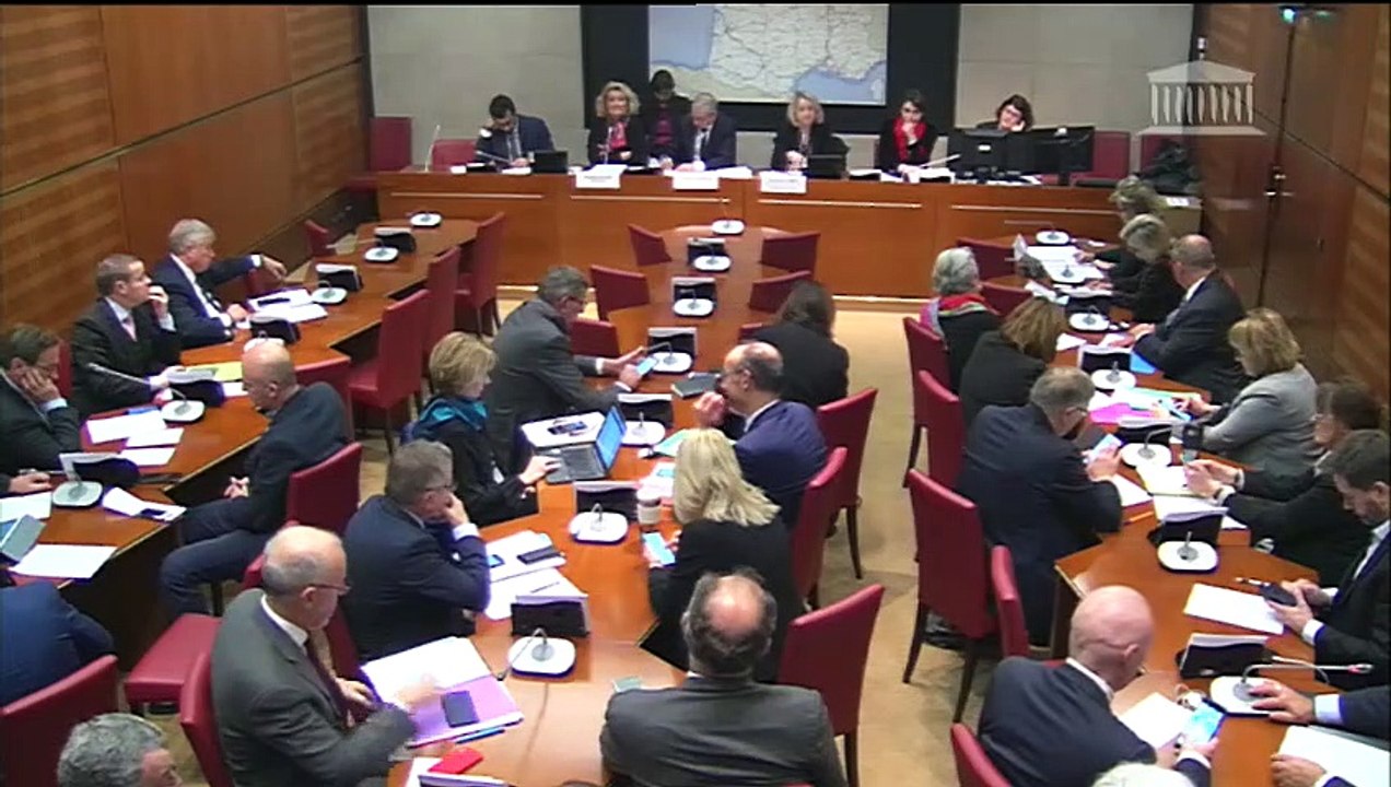 Commission du développement durable : M. Pierre Dubreuil, proposé aux fonctions de directeur général de l’Office français de la biodiversité - Mercredi 11 décembre 2019