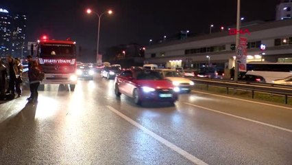 Maltepe d-100'de aracın çarptığı köpek kurtarılamadı