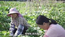 用愛復能苗栗弘大醫院急性後期照護服務