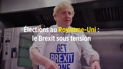 Élections au Royaume-Uni : le Brexit sous tension