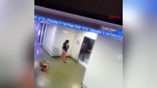 Tasması asansör kapısına sıkışan köpeği böyle kurtardı