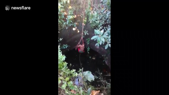 Python coils around brave rescuer who pulls it out of 50-feet-deep well in India