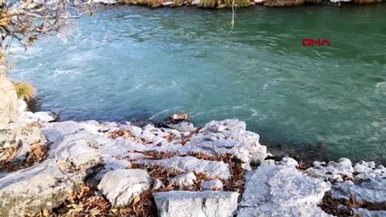 Hakkari'de su samuru görüntülendi