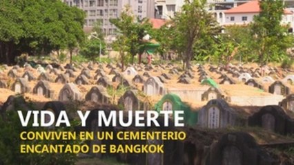 Vida y muerte conviven en un cementerio embrujado de Bangkok