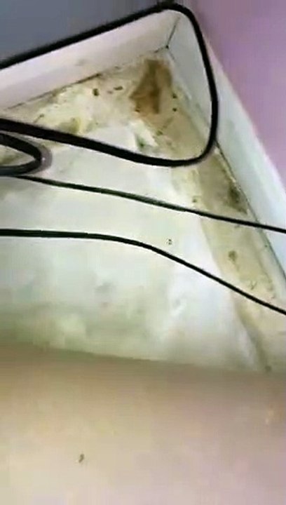 Milton Keynes mum says new baby can't breathe because of the damp in her council home