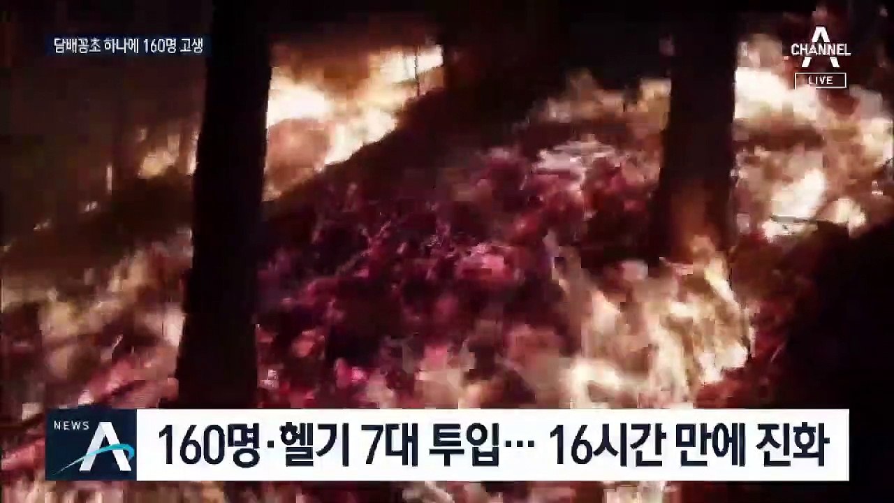 ‘산불 폭탄’ 담배꽁초…축구장 3개 면적 ‘활활’