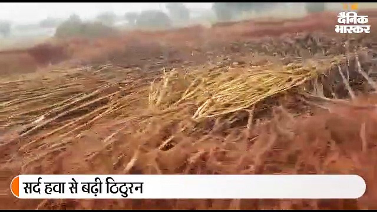 बारिश ने बढ़ाई ठिठुरन; मध्यप्रदेश-उत्तरप्रदेश मे...