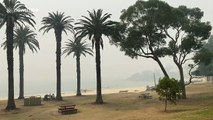 Ash from Australia's bushfires washes up on Balmoral Beach as smoke blankets Sydney's skyline