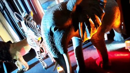 Young performers show their talents at the Best of Hartlepool Awards 2019