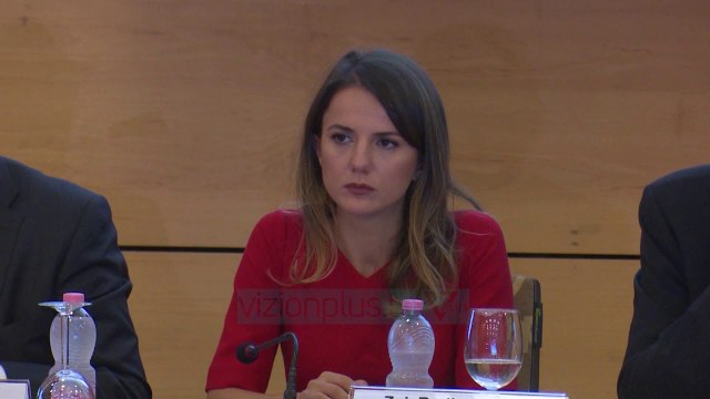 PS-PD bashkë për “zgjedhoren”, opozita i thotë “PO” OSBE - News, Lajme - Vizion Plus