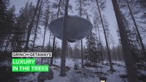 Grinch Getaways: The best Swedish escape is a treehouse