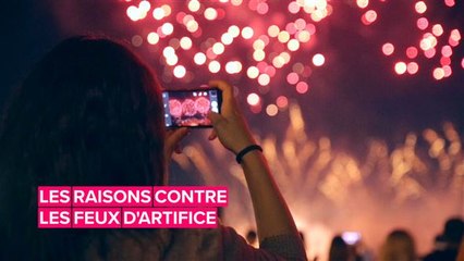 Les interdictions de feux d'artifice explosent dans le monde entier
