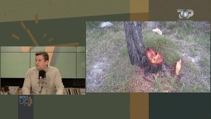 Emisioni i plotë – Wake Up, 20 Nëntor 2019