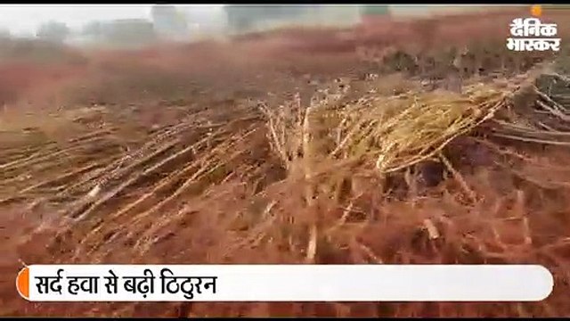 मप्र में तेज बारिश, राजस्थान-महाराष्ट्र में ओले भी गिरे, हिमाचल में बर्फबारी; उप्र में दो किसानों की मौत