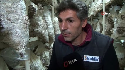 Vanlı Girişimci İlk Mantar Hasadını Yaptı