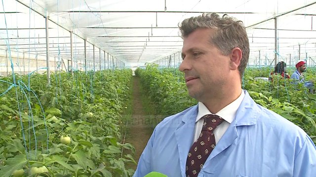 Emigranti rikthehet bujk/ Pas 21 vitesh në Spanjë, ndërton sera në Tragjas të Vlorës