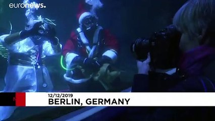 A l'aquarium de Berlin, les pères Noël nourrissent les poissons