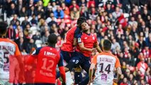 Lille - Montpellier : le bilan des Dogues à domicile